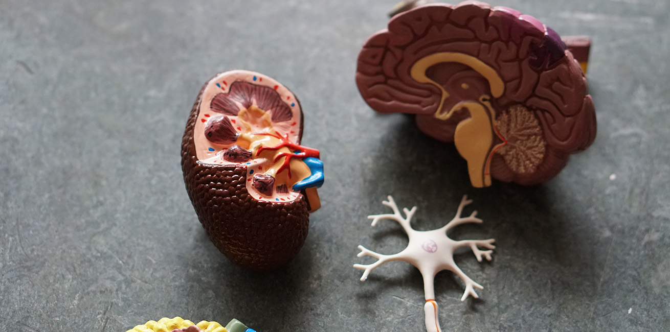 Dementia is Not a Natural Part of Aging, and Other Key Messages